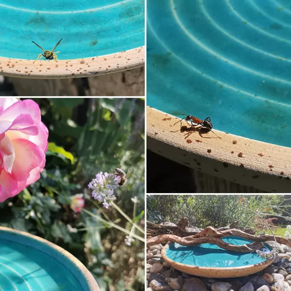 Insekten-, Igel- , Vögeltränke,  für heiße Sommertage